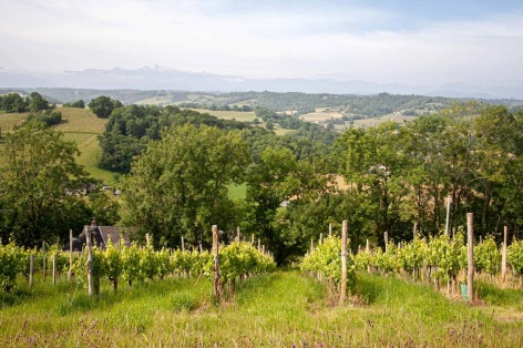 6-6-Jurancon-vignoble-entre-Monein-et-Cuqueron-001--AaDT64-2-2.jpg